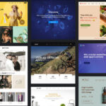 10 Best WordPress Themes for 2025